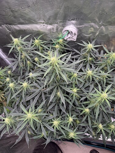 Growreport Bild 18