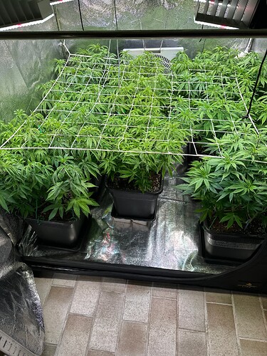 Growreport Bild 24