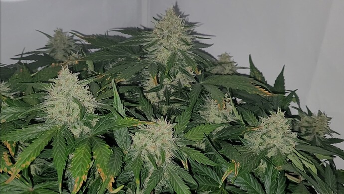 Screenshot_20240504_103051_Video Player