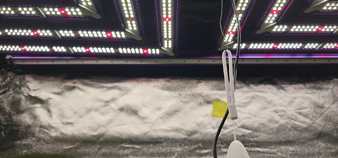 Growreport Bild 48
