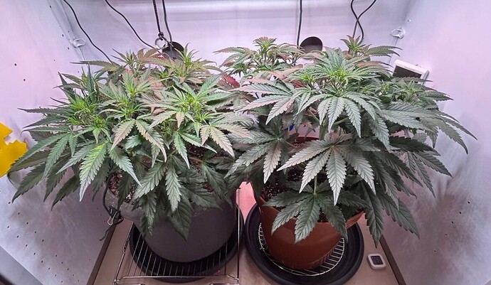Growreport Bild 20