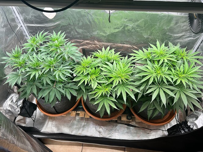 Growreport Bild 1