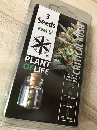 Growreport Bild 1