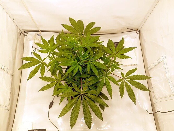 Growreport Bild 5