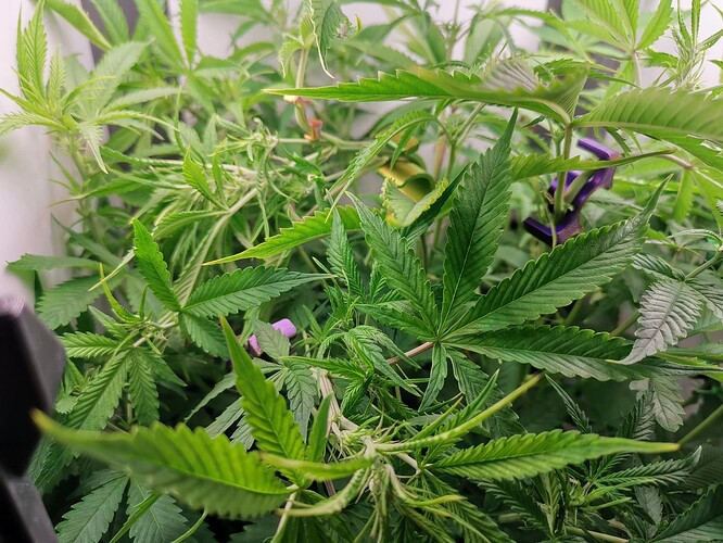 Growreport Bild 10