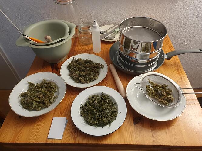Growreport Bild 2