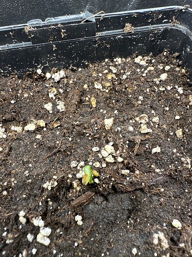 Growreport Bild 8