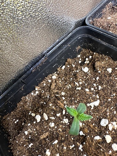 Growreport Bild 47