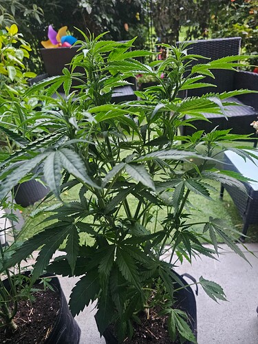 Growreport Bild 21