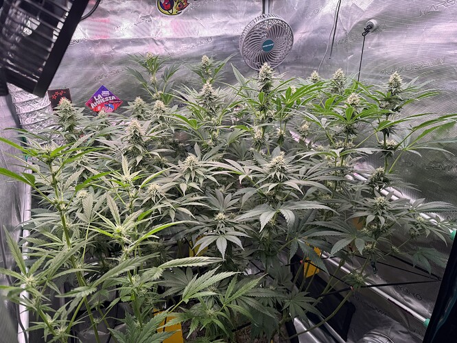 Growreport Bild 3