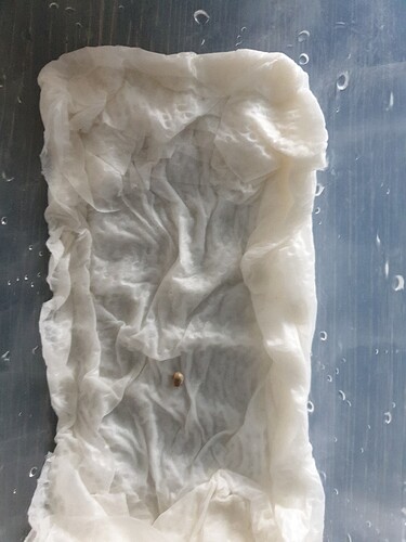 2025-02-08-10-56-18-443