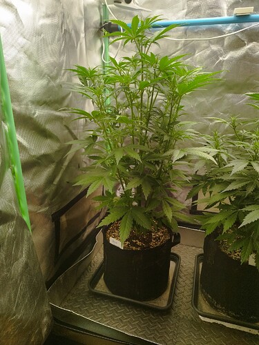 Growreport Bild 10