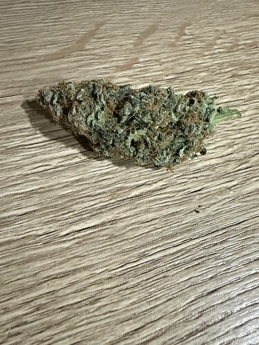 Growreport Bild 15