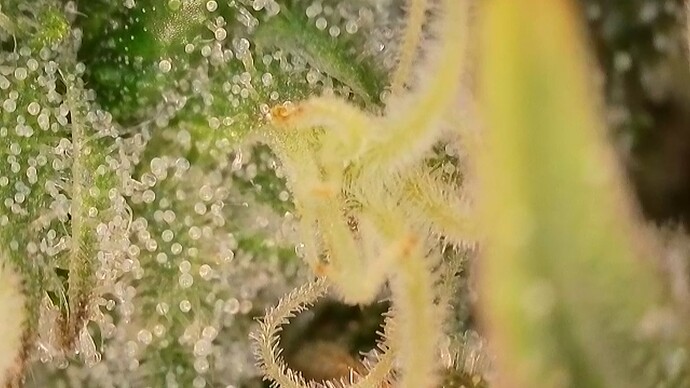 2025-10-22-075556253