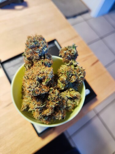 Growreport Bild 12