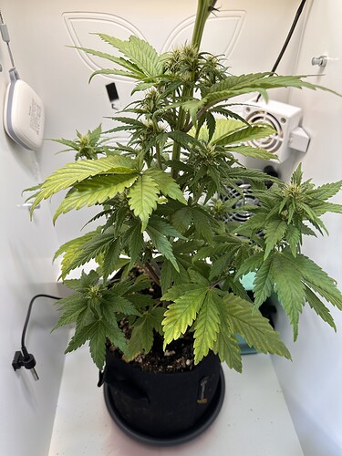 Growreport Bild 1