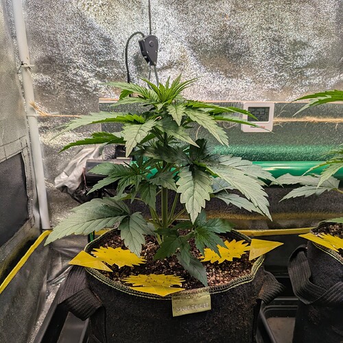 Growreport Bild 16