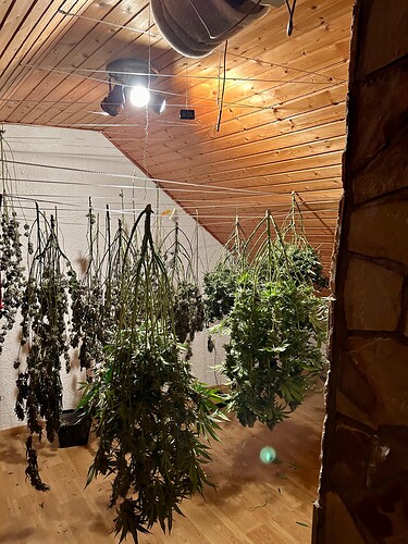 Growreport Bild 2