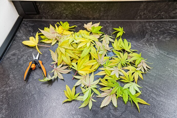 Growreport Bild 10