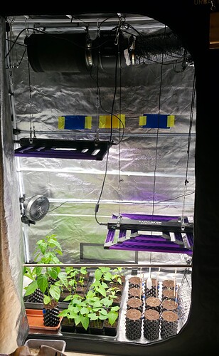 Growreport Bild 46
