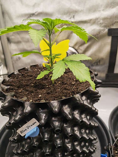 Growreport Bild 19