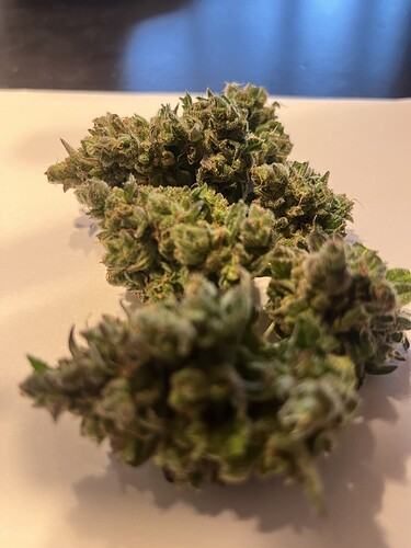 Growreport Bild 3