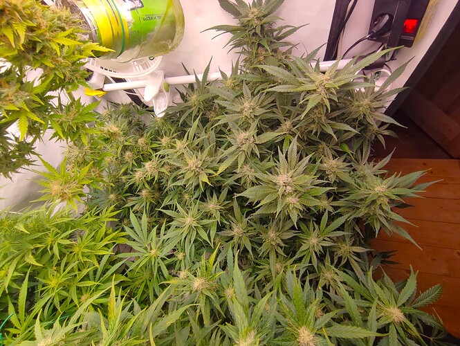 Growreport Bild 26