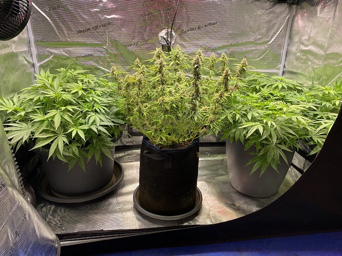 Growreport Bild 11
