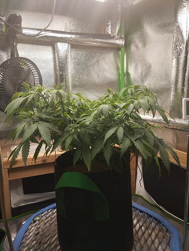 IMG_20241101_172148 - Kopie