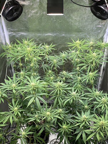 Growreport Bild 12