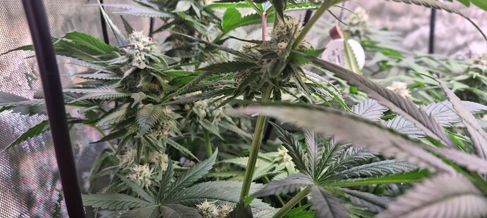 Growreport Bild 26