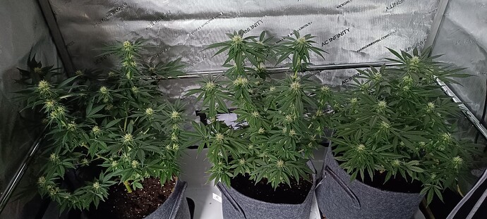 Growreport Bild 2