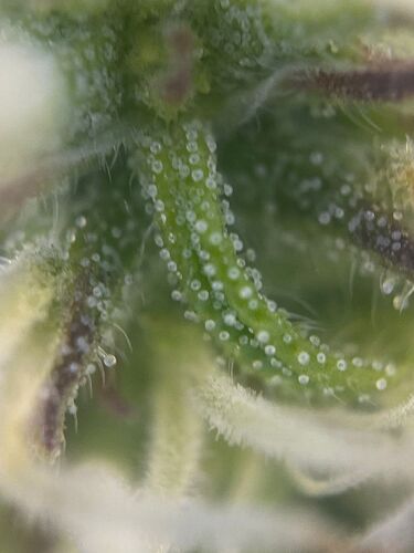 WhatsApp Bild 2024-05-10 um 10.46.00_d4cf3032