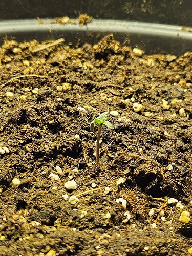 Growreport Bild 3