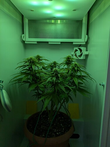Growreport Bild 1