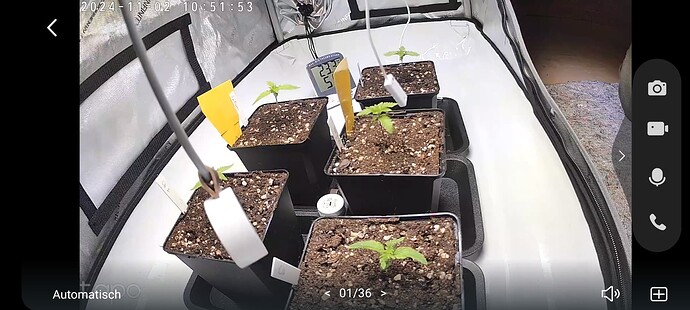 Screenshot_20241102_105156_Tapo