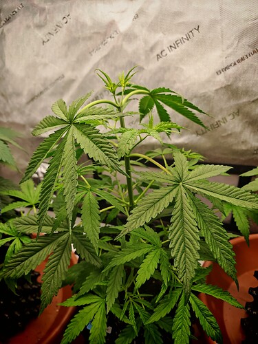 Growreport Bild 22