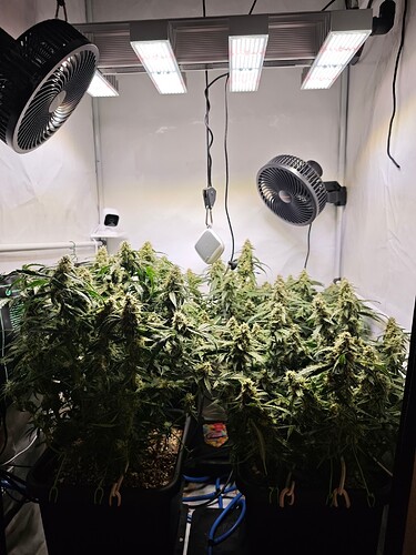 MVIMG_20251114_155646