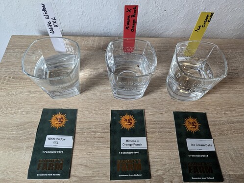 PXL_20250502_180346307