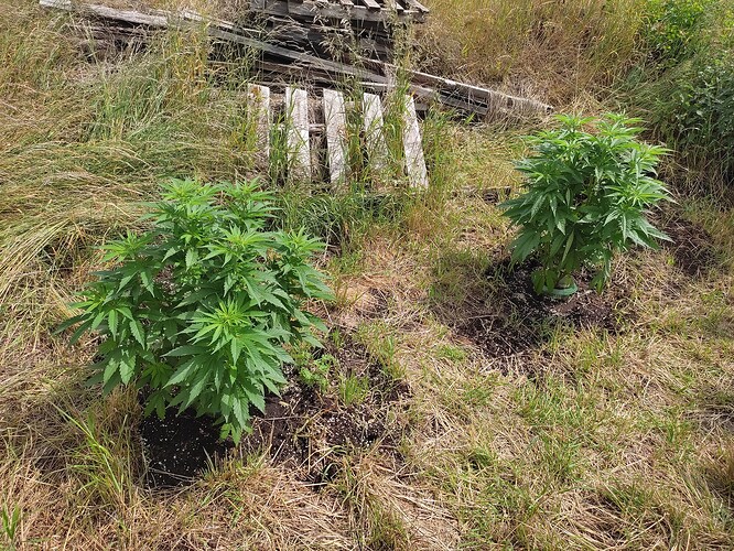 Growreport Bild 14