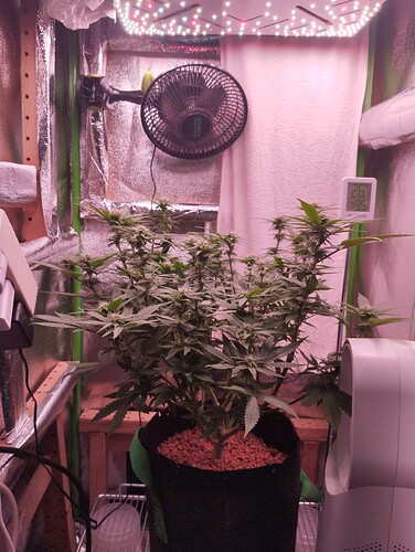 Growreport Bild 2