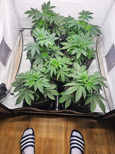 Growreport Bild 4
