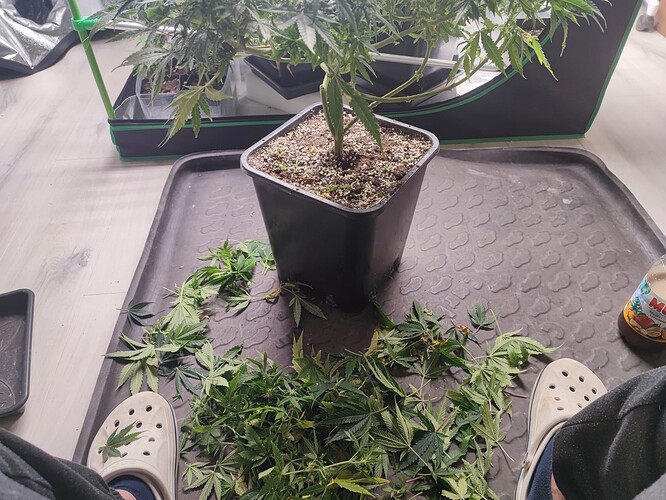Growreport Bild 9