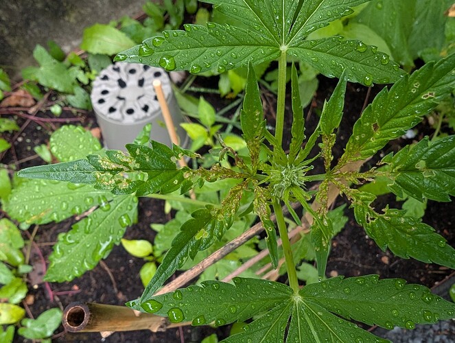 Growreport Bild 10