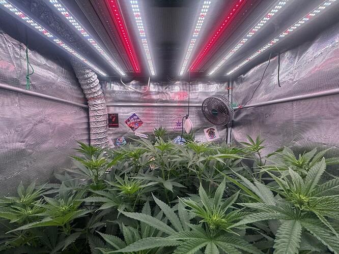 Growreport Bild 5
