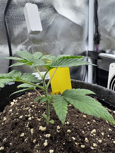 Growreport Bild 22