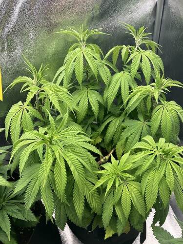 Growreport Bild 10