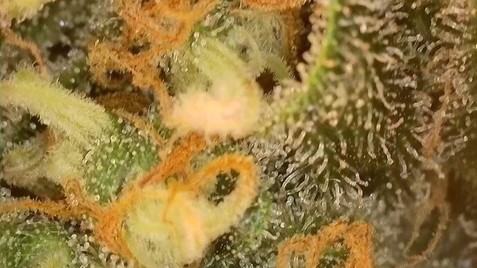 2024-10-03-205545672