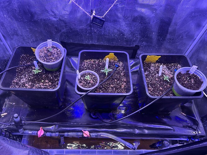 Growreport Bild 22