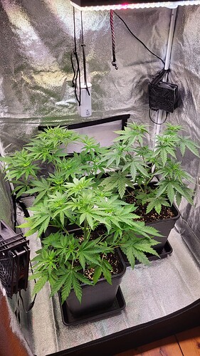Growreport Bild 21